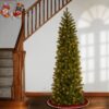 Douglas Fir Pencil Slim Tree - Image 4