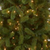 Douglas Fir Pencil Slim Tree - Image 3