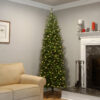 Kingswood Fir Pencil Tree