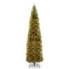 Kingswood Fir Pencil Tree - Image 2