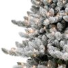 Spruce Christmas Tree - Image 3