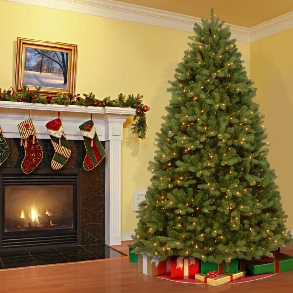 Newberry Spruce Tree